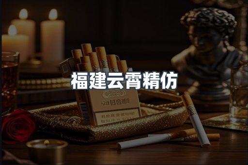 福建云霄精仿